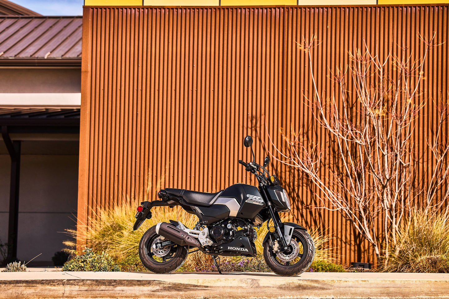 25YM Honda MSX125 Grom