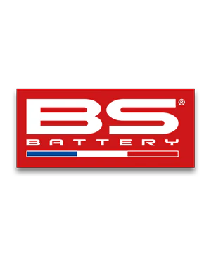 BS BATTERY