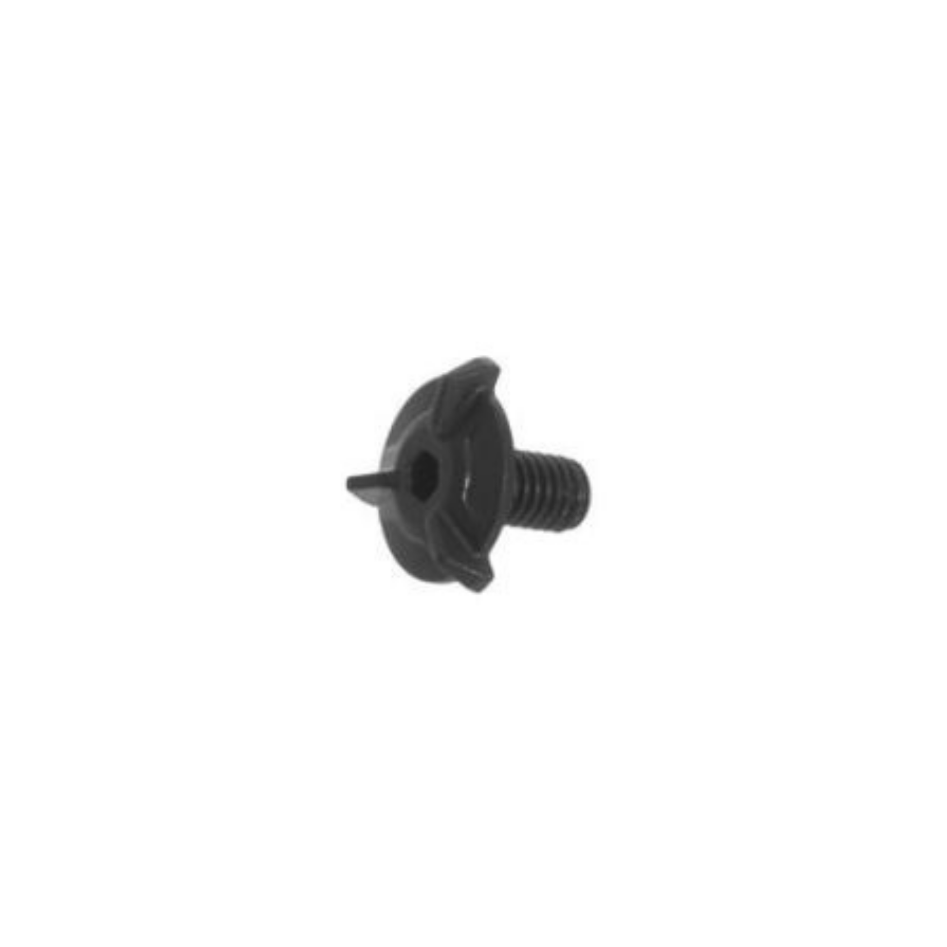 Black screw on a white background