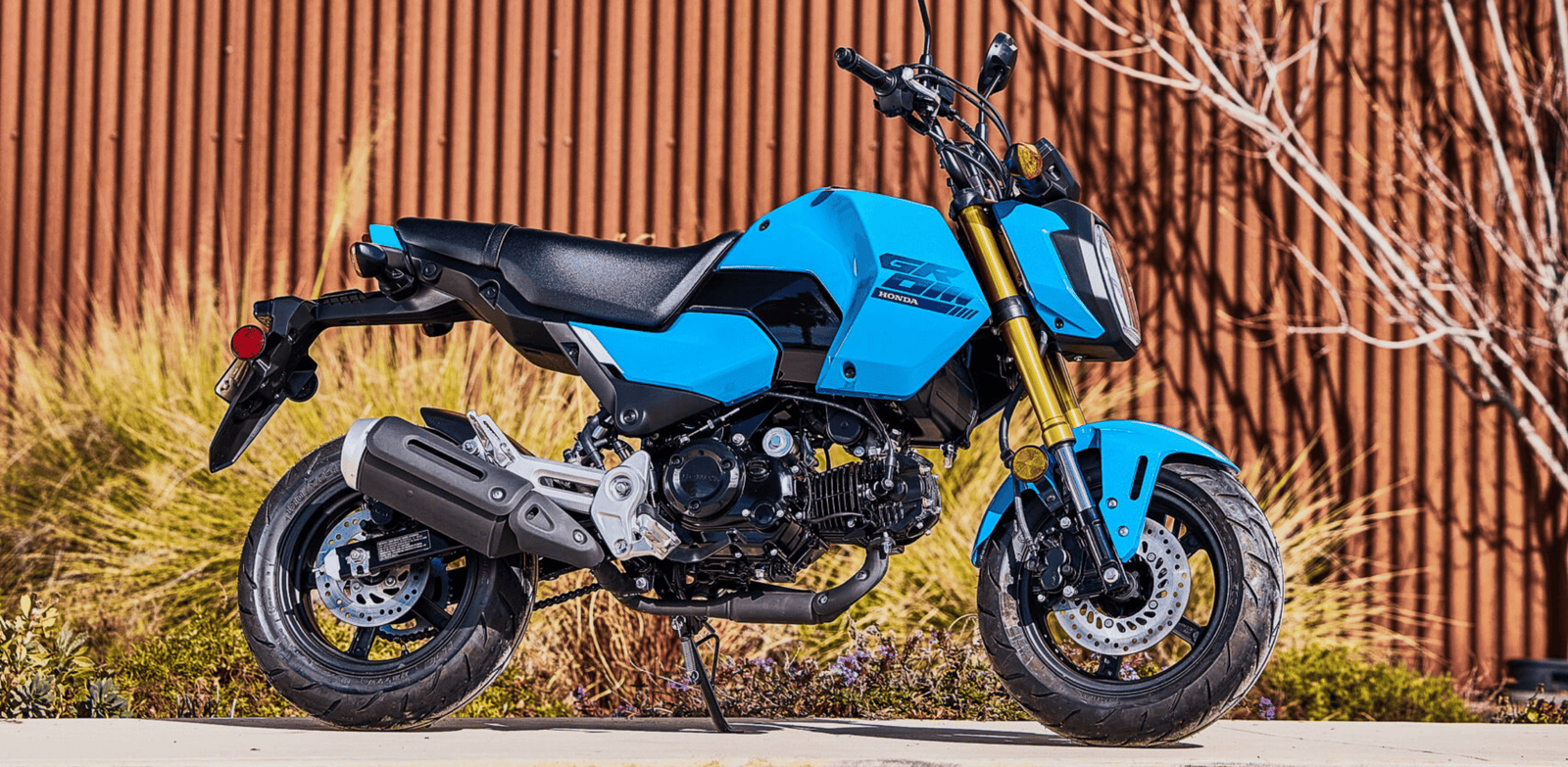 The Little Bike That Thinks Big