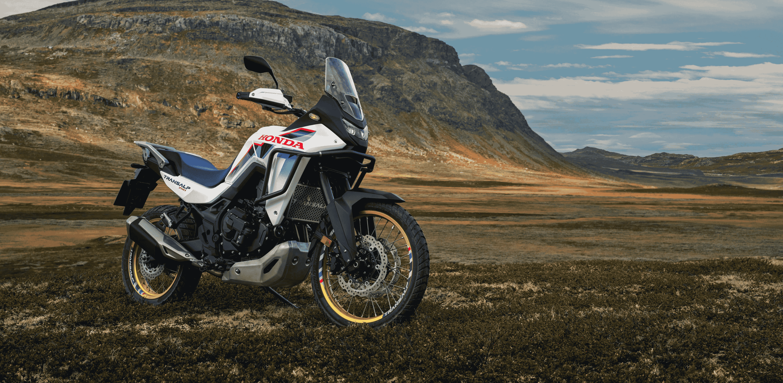 Authentic Design Built from Tough DNA