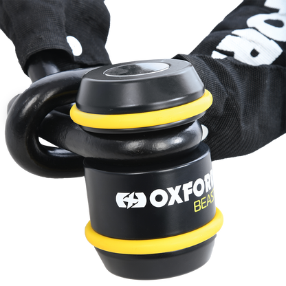 Oxford Beast Lock